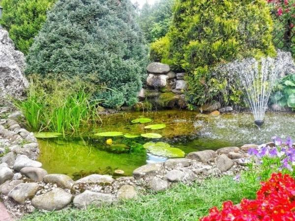 SKALNY apartamenty, pokoje Ogrodzieniec Exteriér fotografie